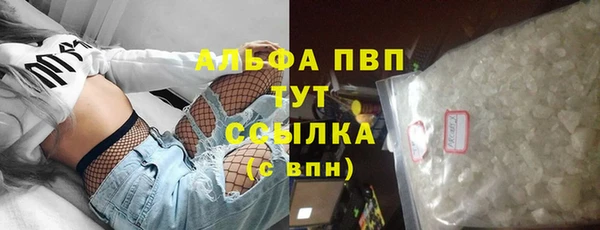 твердый Инсар