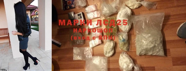 твердый Инсар