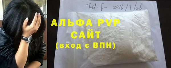 твердый Инсар