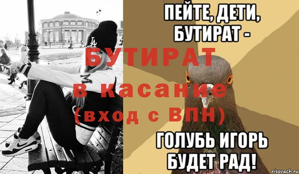 твердый Инсар