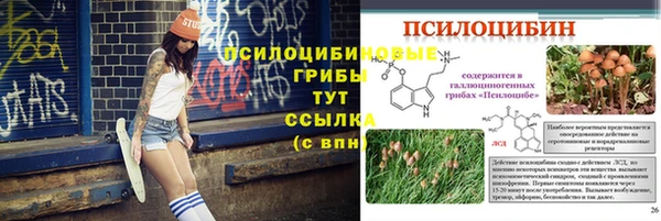 твердый Инсар