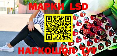 стаф Донской