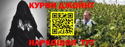 стаф Донской