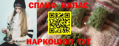 стаф Донской