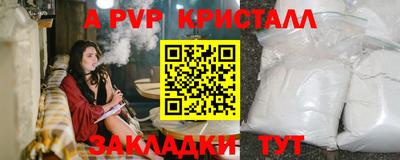 стаф Донской