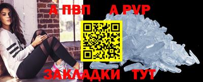 стаф Донской